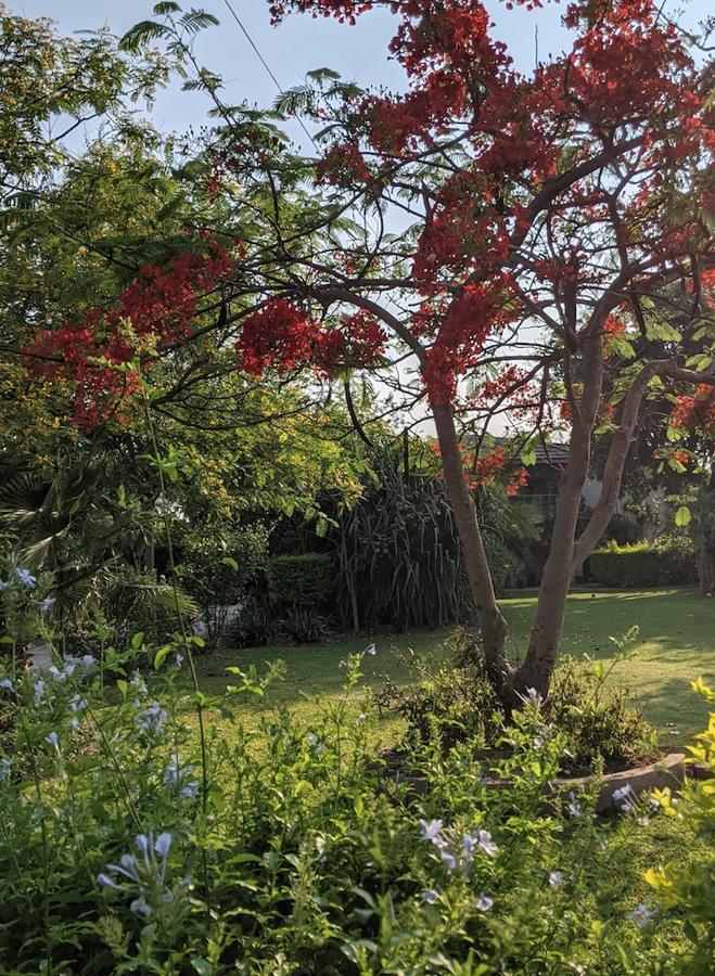 The Residence Villa Chobe Kasane Kültér fotó